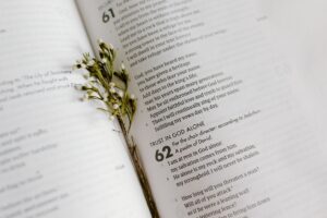 The Connection Between Trusting God and Spiritual Growth