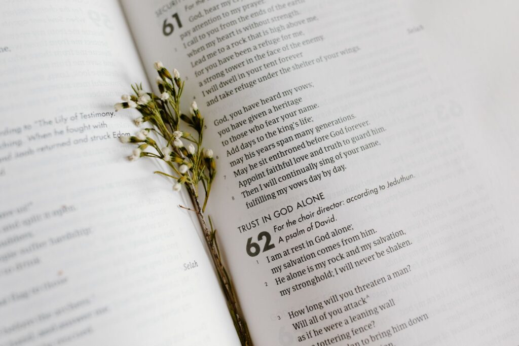 How Trusting God Transforms Our Daily Decisions scripture