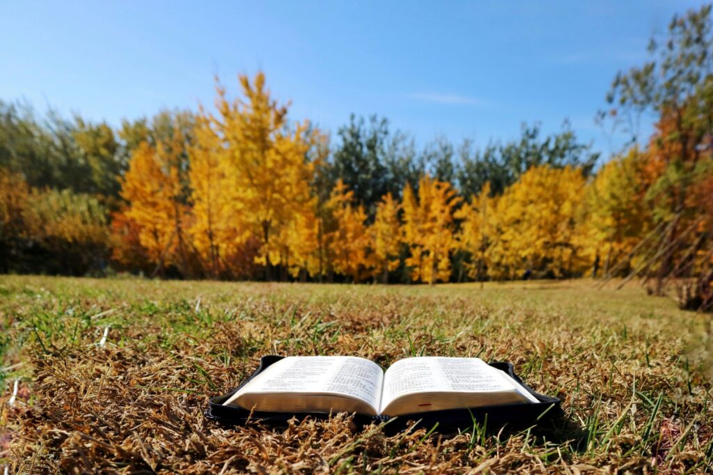 A serene open Bible, symbolizing the guidance and wisdom found in Scripture when handling conflicts