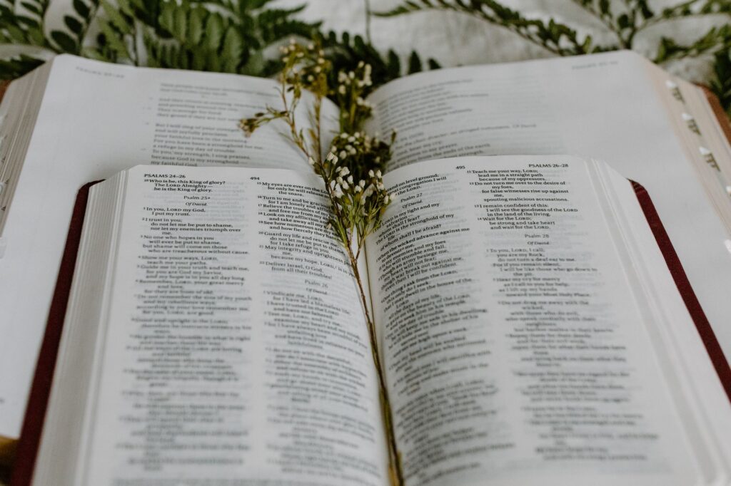 A serene outdoor setting with an open Bible symbolizes finding peace in God's word amidst trials