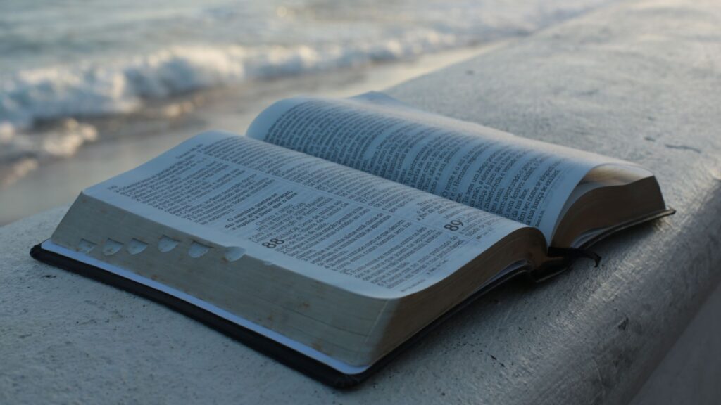 A serene scene of nature with an open Bible, symbolizing trust and faith in God's plan