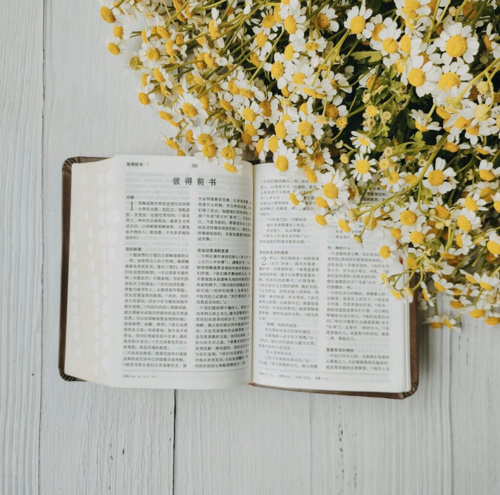 An open Bible in natural light symbolizes the guidance of God's Word in our lives