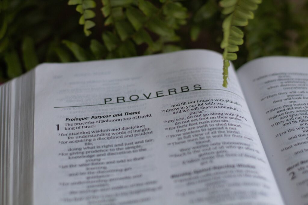Developing Resilience Through Scripture: Strategies for Daily Life scripture