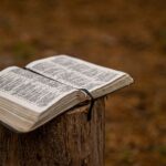 How To Handle Conflict In Relationships: Lessons From The Bible