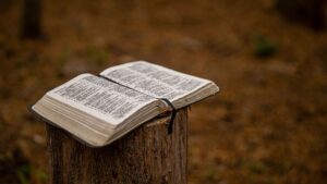 How to Handle Conflict in Relationships: Lessons from the Bible