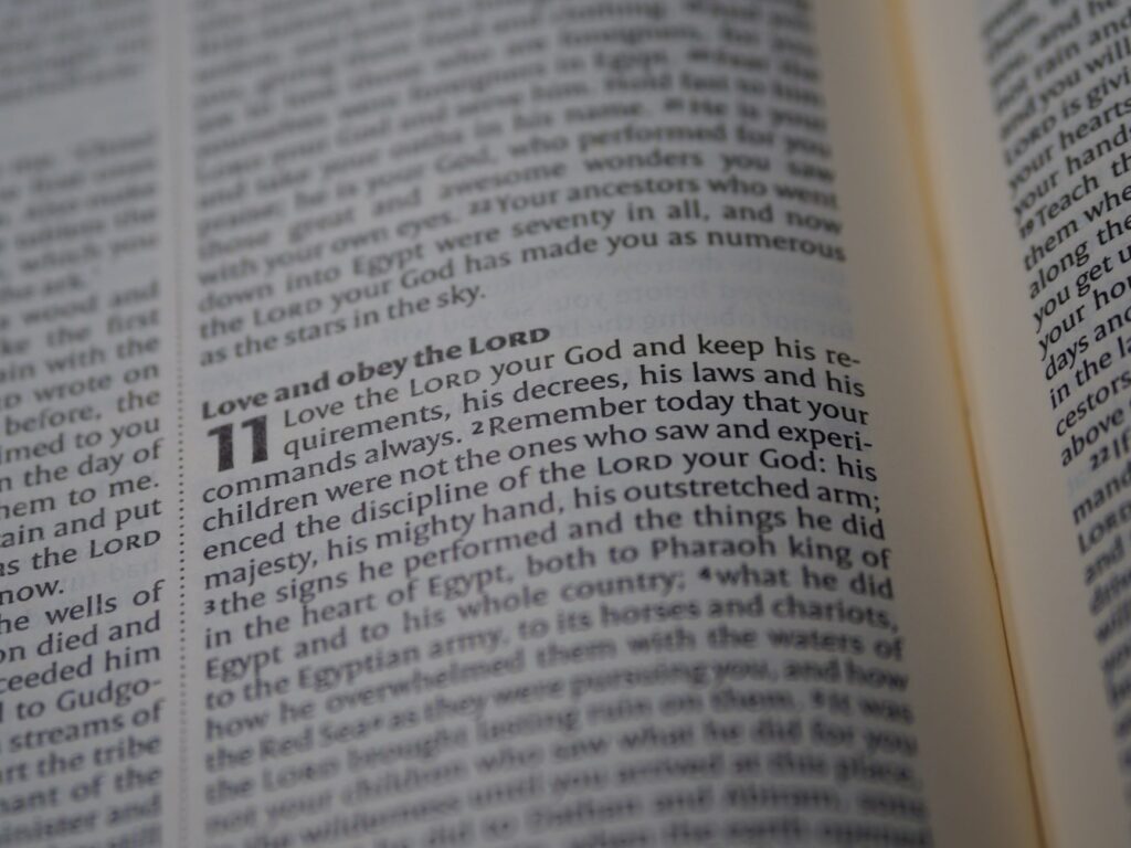 How Trusting God Transforms Our Everyday Decisions scripture