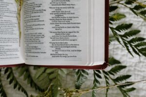 Lessons from the Life of Abraham: What Does Faith in Action Look Like?