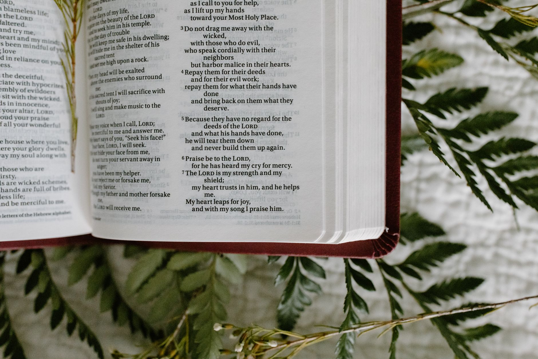 Lessons from the Life of Abraham: What Does Faith in Action Look Like?