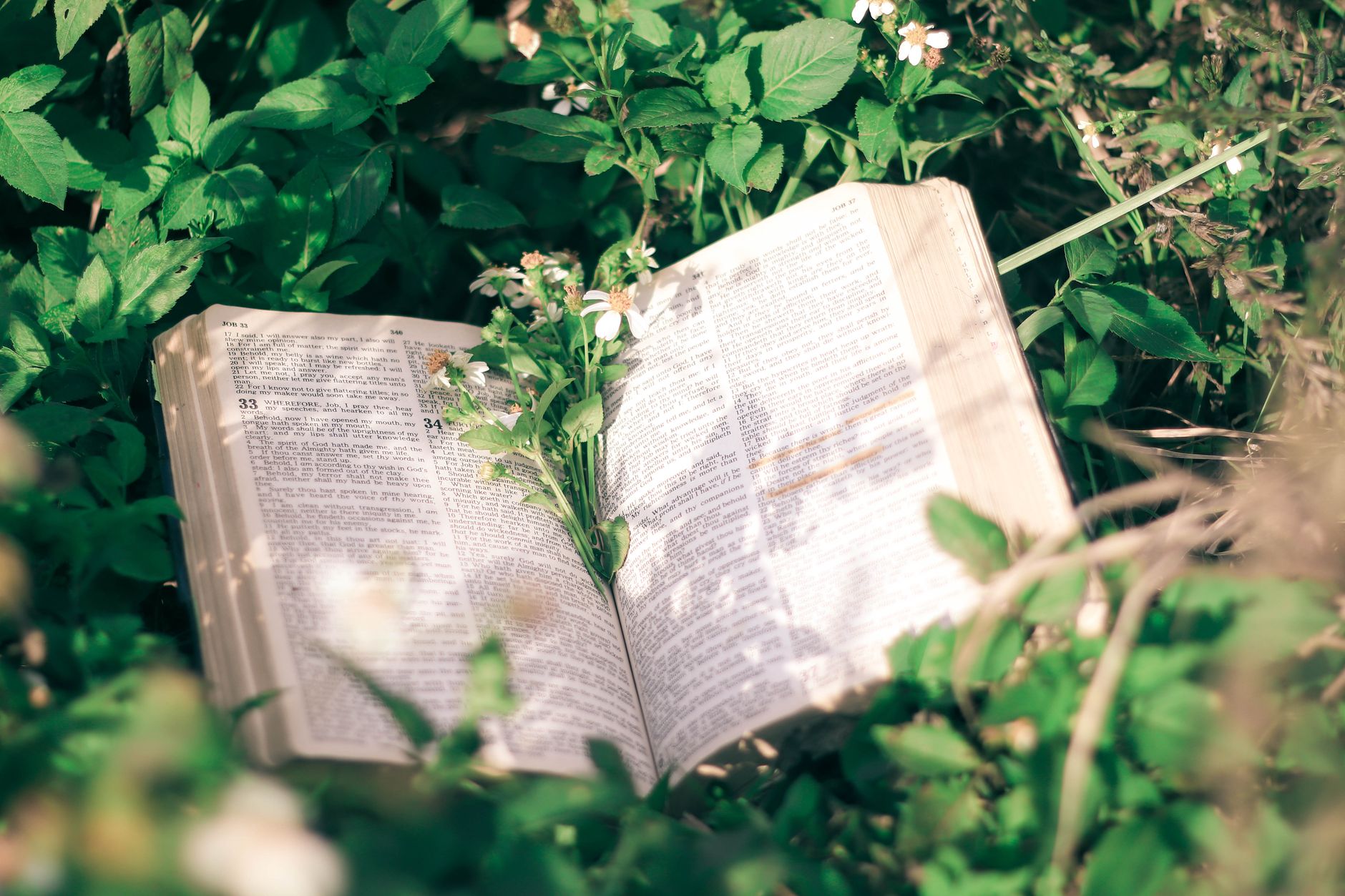 Overcoming Doubt: Learning to Trust God's Plan
