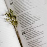 Scriptural Examples Of Trusting God When Facing The Unknown