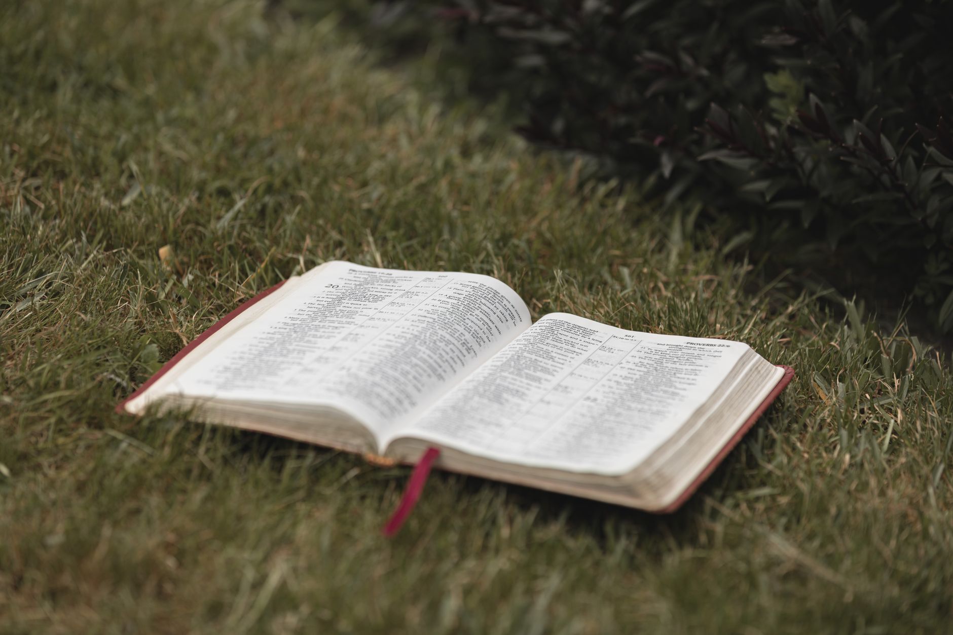 The Role of Trust in God's Promises: A Biblical Exploration