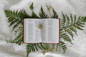 Trusting God with Our Dreams: Surrendering Your Plans for His Purpose