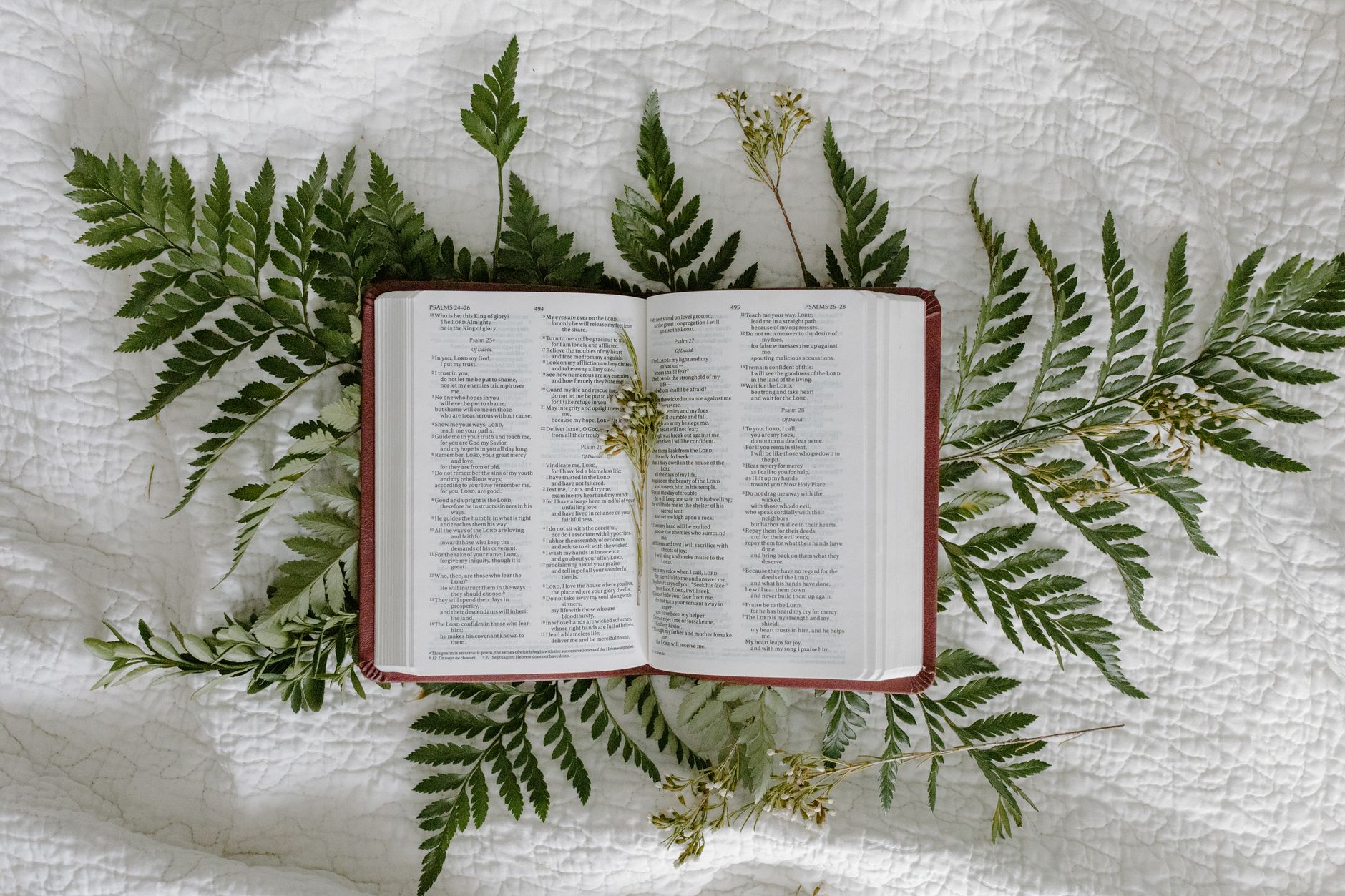 Trusting God with Our Dreams: Surrendering Your Plans for His Purpose